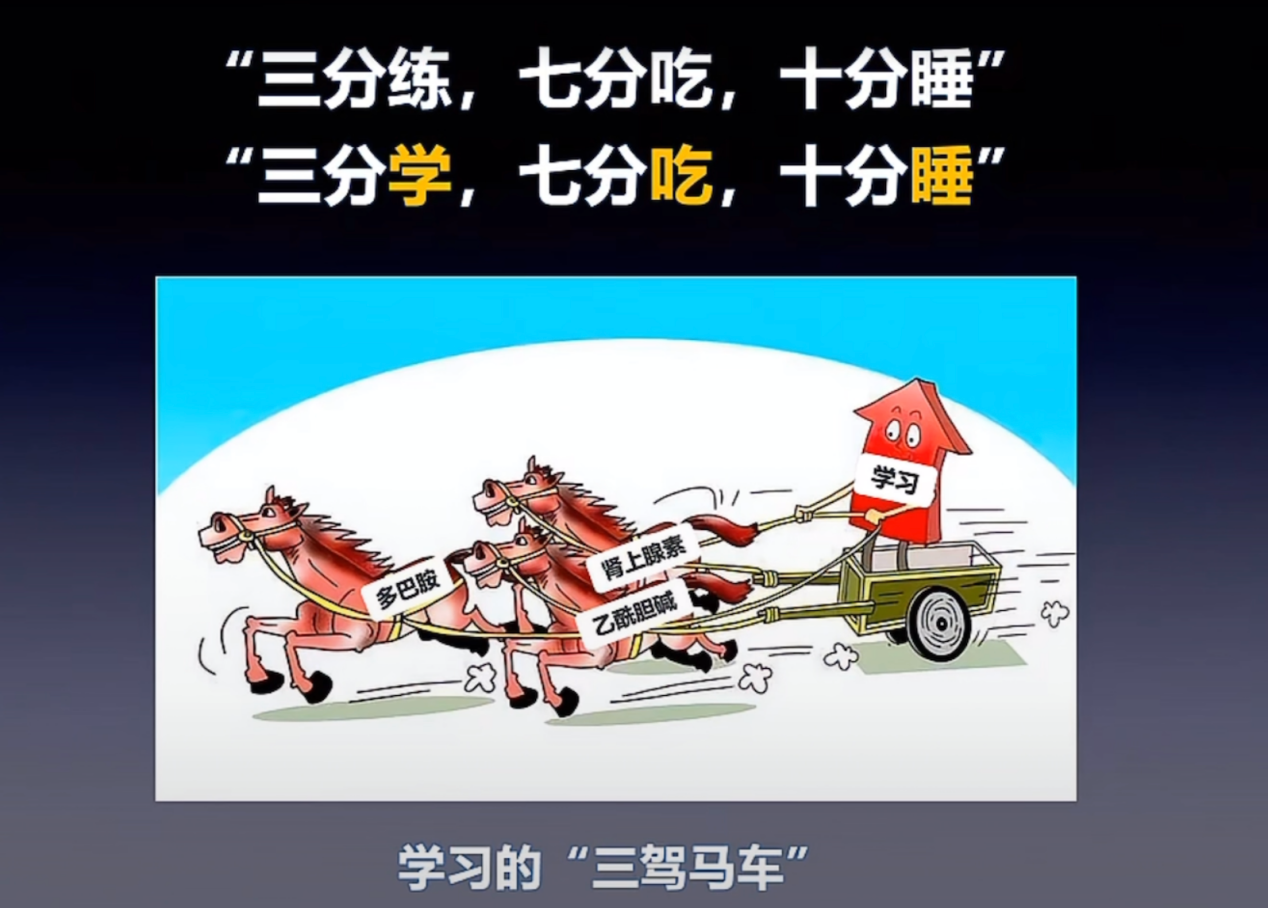 1.png 1.png